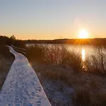 Hues Waasluuper - Seeschwalbe * Нордорф