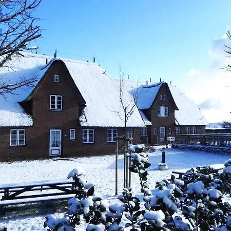 Hues Waasluuper - Seeschwalbe * Norddorf auf Amrum