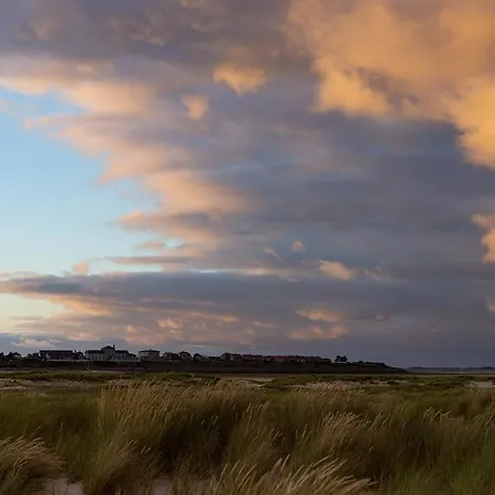 Hues Waasluuper - Seeschwalbe *