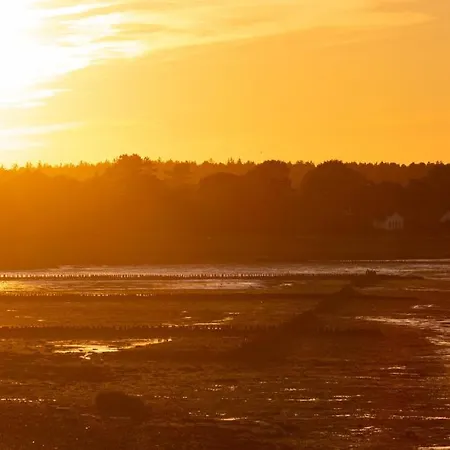 Hues Waasluuper - Seeschwalbe Norddorf auf Amrum