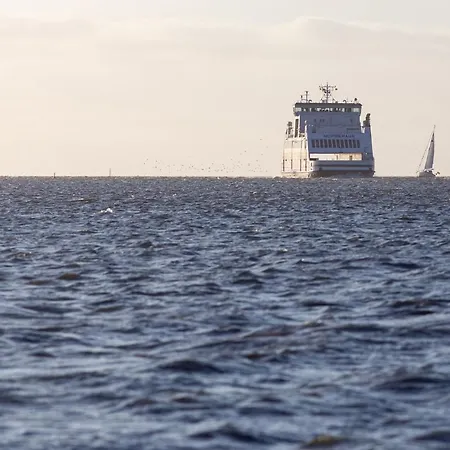 Hues Waasluuper - Seeschwalbe Norddorf auf Amrum
