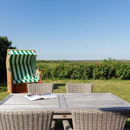 Hues Waasluuper - Seeschwalbe