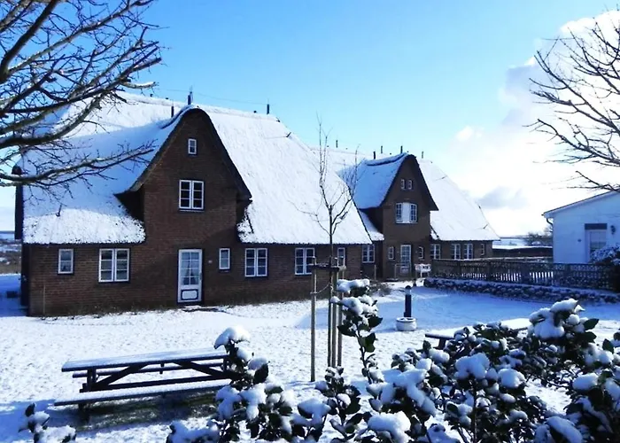 Hues Waasluuper - Seeschwalbe * Norddorf