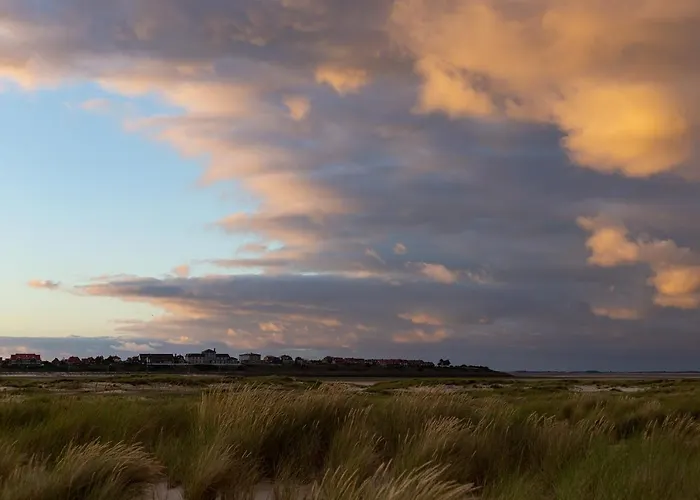 Hues Waasluuper - Seeschwalbe *