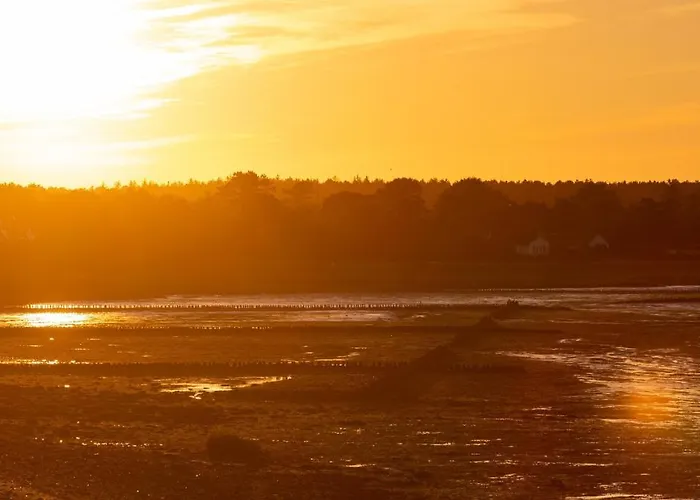 Hues Waasluuper - Seeschwalbe Norddorf