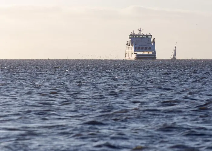 Hues Waasluuper - Seeschwalbe Norddorf